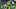 oregon ducks football uniform combination reveal nike zach grisham dan lanning portland state vikings autzen stadium jersey oregon ducks football uniform combination reveal nike zach grisham dan lanning portland state vikings autzen stadium jersey