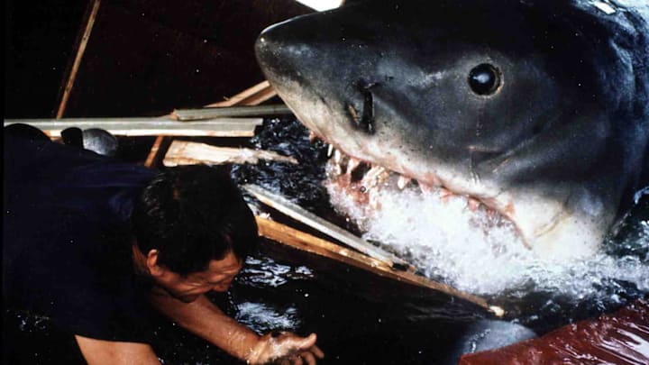 The 'Jaws' saga even included a 3D adventure romp.