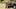 Dutton Ranch S1: First Look Dutton Ranch S1: First Look