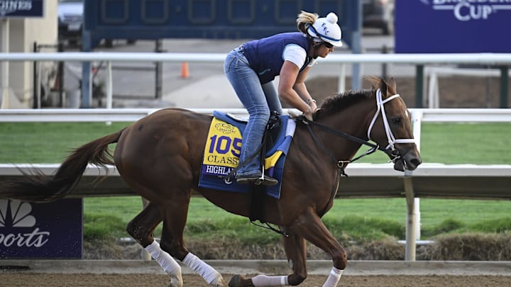 Oct 29, 2024; Del Mar, CA, USA; Highland Falls exercises during morning workouts ahead of the 2024 Breeders' Cup Championship at Del Mar Thoroughbred Club. Oct 29, 2024; Del Mar, CA, USA; Highland Falls exercises during morning workouts ahead of the 2024 Breeders' Cup Championship at Del Mar Thoroughbred Club.