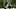 Philadelphia Eagles wide receiver Makai Lemon Philadelphia Eagles wide receiver Makai Lemon