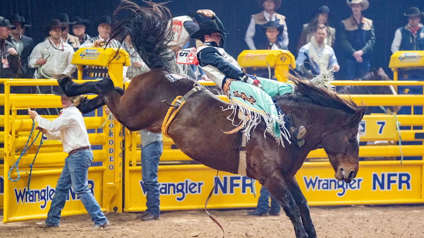 Bradlee Miller Inches Out Steiner and Schalla In Bareback World Standings