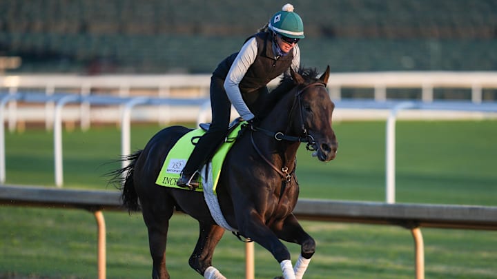 Incredibolt is among the betting picks for the Preakness. 