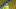 Al Nassr v Al Raed: Saudi Pro League