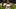 Denver Broncos fullback Jonah Coleman, Fantasy Football Denver Broncos fullback Jonah Coleman, Fantasy Football