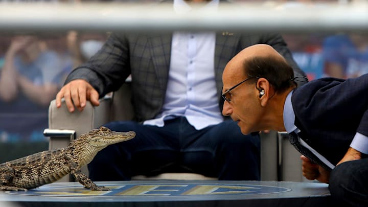 SEC Nation host Paul Finebaum stares down a live alligator on the set during the filming of the SEC Nation college football show, at the Plaza of the Americas on the University of Florida campus.