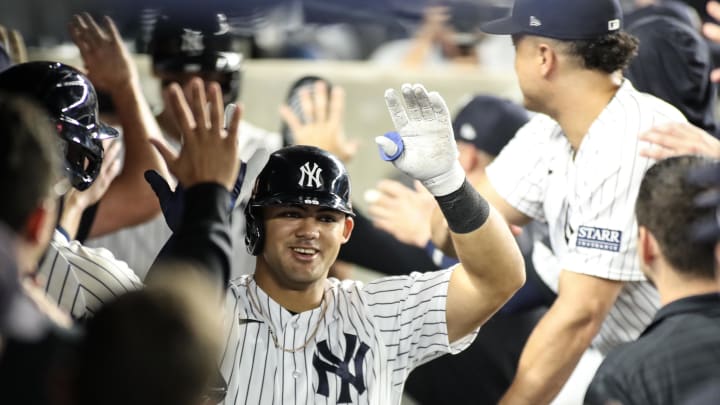 Sep 8, 2023; Bronx, New York, USA;  New York Yankees center fielder Jasson Dominguez (89) is greeted in the dugout after hitting a home run in the third inning against the Milwaukee Brewers at Yankee Stadium. Mandatory Credit: Wendell Cruz-USA TODAY Sports