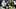 Caleb Williams and Micah Parsons Caleb Williams and Micah Parsons