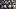 Nov 23, 2024; Miami Gardens, Florida, USA; Miami Hurricanes running back Jordan Lyle (21) celebrates with teammates after sco Nov 23, 2024; Miami Gardens, Florida, USA; Miami Hurricanes running back Jordan Lyle (21) celebrates with teammates after sco