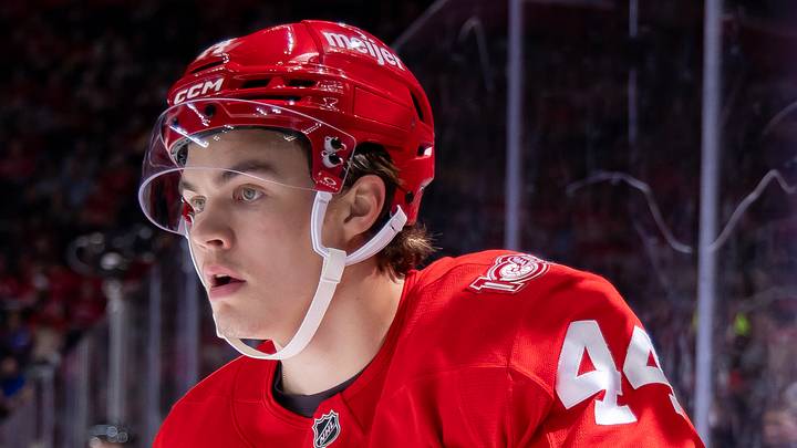 Minnesota Wild v Detroit Red Wings
