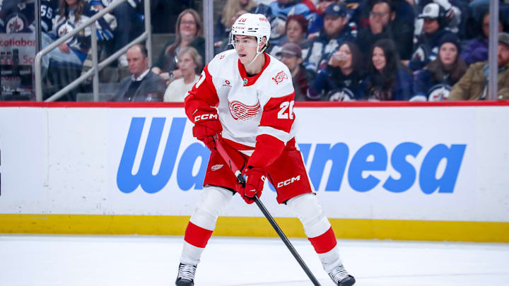 Detroit Red Wings v Winnipeg Jets