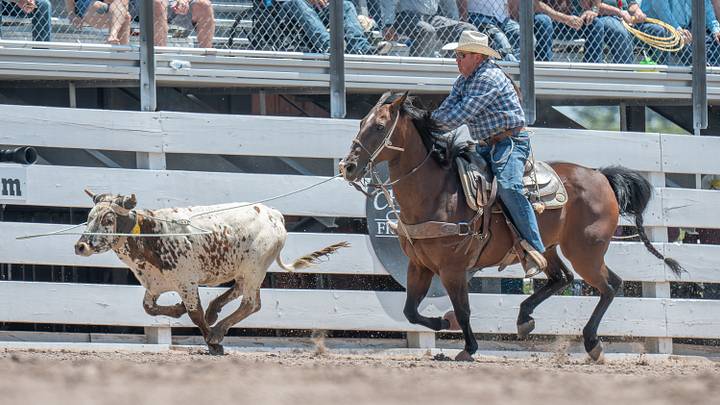 Veteran steer roper Cody Lee is sitting third in PRCA World Standings and chasing his 20th straight appearance at the National Finals Steer Roping. 