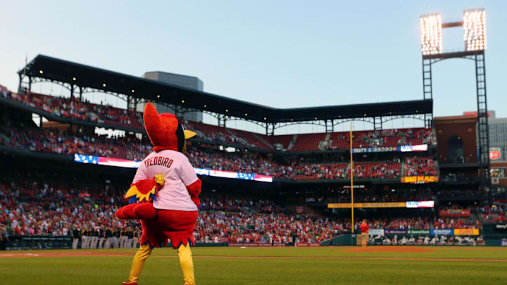 Sep 8, 2017; St. Louis, MO, USA; The St. Louis Cardinals mascot Fredbird standing for the national anthem at Busch Stadium. Mandatory Credit: Aaron Doster-Imagn Images Sep 8, 2017; St. Louis, MO, USA; The St. Louis Cardinals mascot Fredbird standing for the national anthem at Busch Stadium. Mandatory Credit: Aaron Doster-Imagn Images