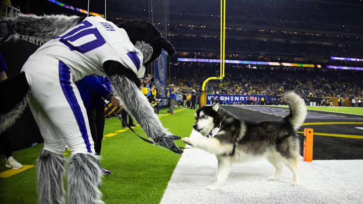 Jan 8, 2024; Houston, TX, USA; Washington Huskies mascot Harry the Husky (left) greets dog Dubs II during the 2024 College Football Playoff national championship game at NRG Stadium. Mandatory Credit: Mark J. Rebilas-USA TODAY Sports