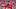 San Francisco 49ers tackle Colton McKivitz San Francisco 49ers tackle Colton McKivitz