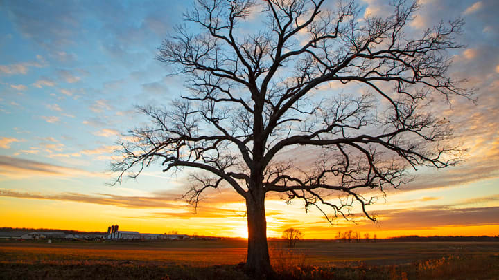 The winter solstice marks the return of longer days.