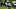 New England Patriots wide receiver DeMario Douglas