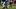 New England Patriots wide receiver Nick DeGennaro New England Patriots wide receiver Nick DeGennaro
