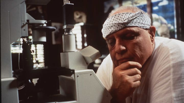 Marlon Brando in ‘The Island of Dr. Moreau.’