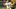 Pitt Panthers quarterback Phil Jurkovec Pitt Panthers quarterback Phil Jurkovec