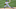Mets Mets