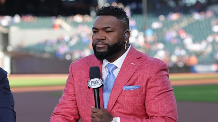 Oct 18, 2024; New York City, New York, USA; Fox News playoff baseball commentator David Ortiz before the game between the New York Mets and the Los Angeles Dodgers during game five of the NLCS for the 2024 MLB playoffs at Citi Field. Mandatory Credit: Brad Penner-Imagn Images Oct 18, 2024; New York City, New York, USA; Fox News playoff baseball commentator David Ortiz before the game between the New York Mets and the Los Angeles Dodgers during game five of the NLCS for the 2024 MLB playoffs at Citi Field. Mandatory Credit: Brad Penner-Imagn Images
