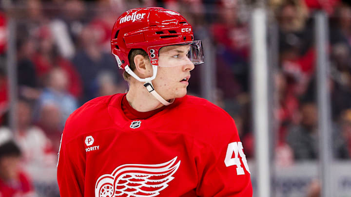 Jonathan Berggren looks on as the Detroit Red Wings take on the New York Rangers.