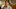 DARKWINDS_S3_MM_0521_0541_RT