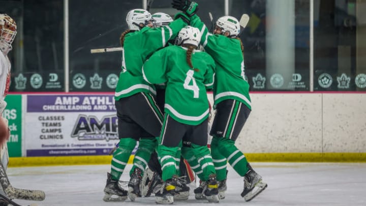 Hill-Murray faces Edina in the 2025 Minnesota high school girls hockey Class 2A championship.