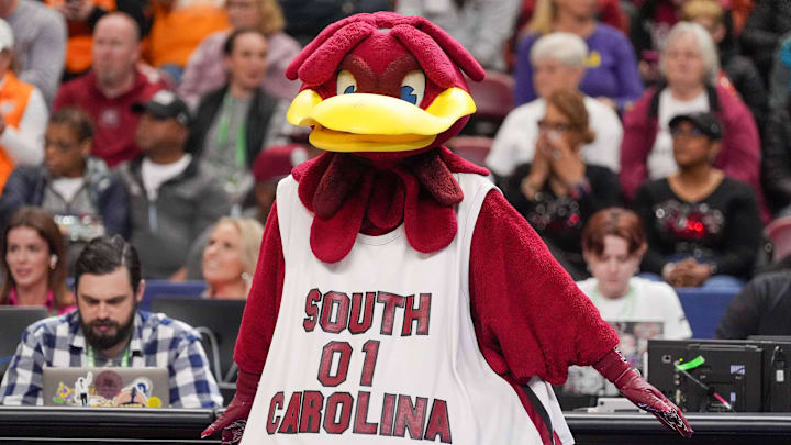 South Carolina Gamecocks mascot Cocky