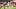 Arizona Cardinals TE Trey McBrid Arizona Cardinals TE Trey McBrid