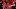 Liverpool FC v Crystal Palace FC - Premier League Liverpool FC v Crystal Palace FC - Premier League