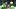 FBL-WC-2026-MATCH79-MEX-ECU FBL-WC-2026-MATCH79-MEX-ECU