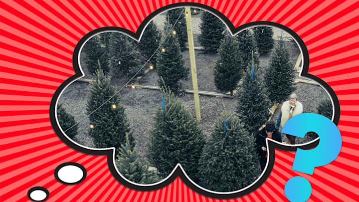 Trees hit growth spurts just like we do.