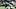 New York Jets wide receiver Adonai Mitchell injury New York Jets wide receiver Adonai Mitchell injury