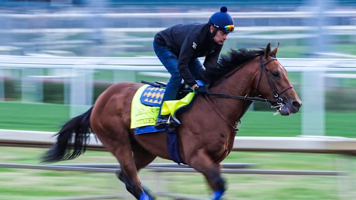 Citizen Bull is set at 20-1 to win the 2025 Kentucky Derby.