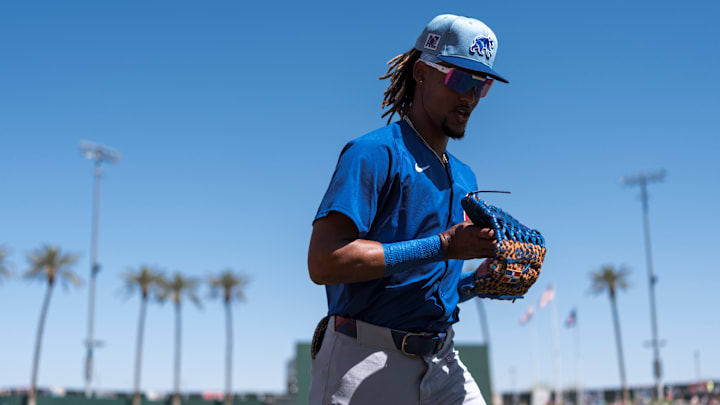 Chicago Cubs Spring Training