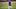 Jay Johnson walks back to the dugout in a 2026 game Jay Johnson walks back to the dugout in a 2026 game