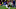 Kevin Schade, Idrissa Gueye Kevin Schade, Idrissa Gueye