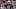 New England Patriots quarterback Tom Brady New England Patriots quarterback Tom Brady