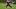 New England Patriots safety Brenden Schooler New England Patriots safety Brenden Schooler