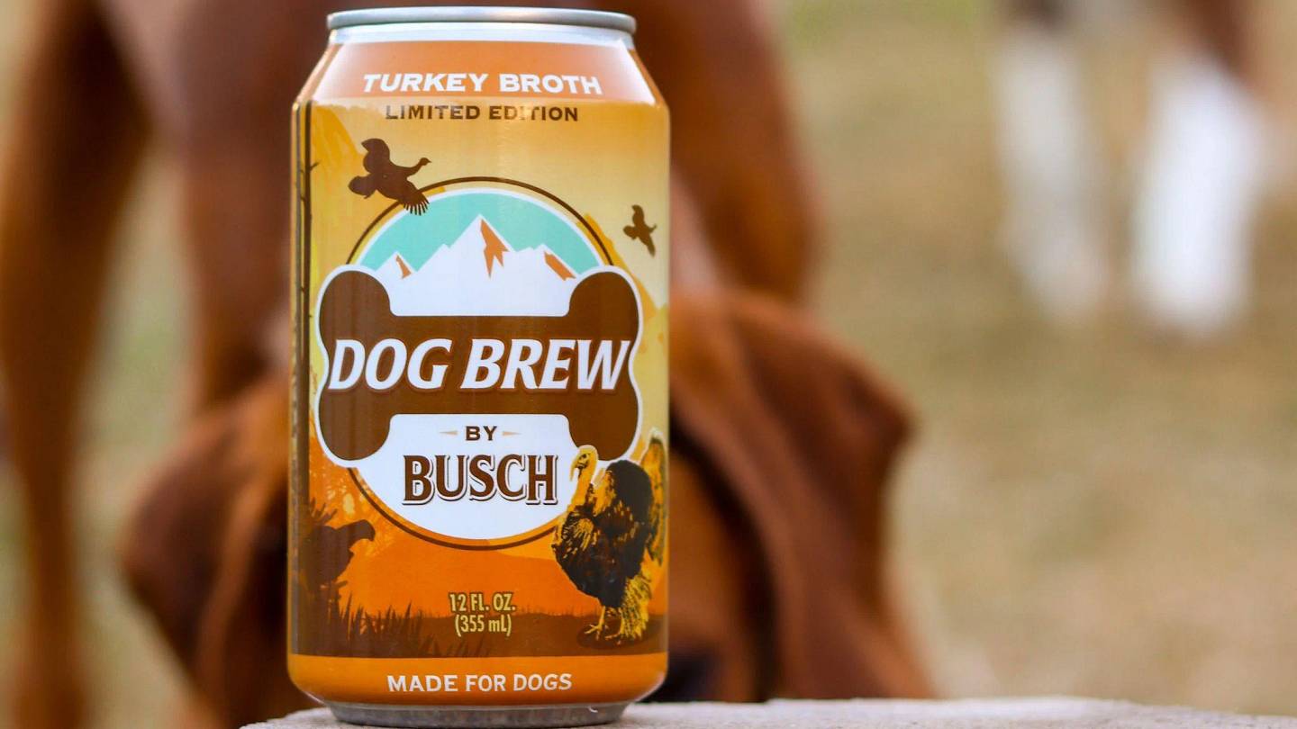 Busch Is Brewing Turkey-Flavored âBeerâ for Dogs Just in Time for Thanksgiving