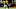 2024 CFP National Championship - Michigan v Washington 2024 CFP National Championship - Michigan v Washington