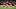 Nottingham Forest FC v West Ham United FC - Premier League