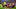 World Cup 2022 - Costa Rica - Germany World Cup 2022 - Costa Rica - Germany