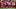 Ademola Lookman Ademola Lookman