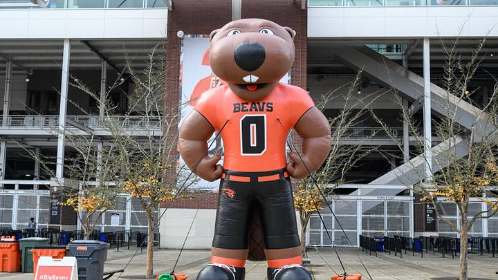 Nov 9, 2024; Corvallis, Oregon, USA; Oregon State Beavers giant inflatable mascot greets fans before the game against the San Jose State Spartans at Reser Stadium. Mandatory Credit: Craig Strobeck-Imagn Images Nov 9, 2024; Corvallis, Oregon, USA; Oregon State Beavers giant inflatable mascot greets fans before the game against the San Jose State Spartans at Reser Stadium. Mandatory Credit: Craig Strobeck-Imagn Images