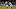 Sean Franklin, Robbie Rogers Sean Franklin, Robbie Rogers