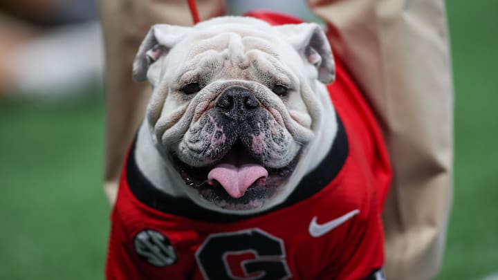 Aug 31, 2024; Atlanta, Georgia, USA; Georgia Bulldogs mascot Uga XI on the field against the Clemson Tigers in the first quarter at Mercedes-Benz Stadium. Mandatory Credit: Brett Davis-Imagn Images
Aug 31, 2024; Atlanta, Georgia, USA; Georgia Bulldogs mascot Uga XI on the field against the Clemson Tigers in the first quarter at Mercedes-Benz Stadium. Mandatory Credit: Brett Davis-Imagn Images