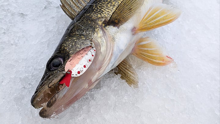 These ice fishing stocking stuffers get our seal of approval as perfect Christmas gifts. These ice fishing stocking stuffers get our seal of approval as perfect Christmas gifts.